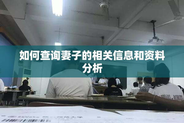 如何查询妻子的相关信息和资料分析