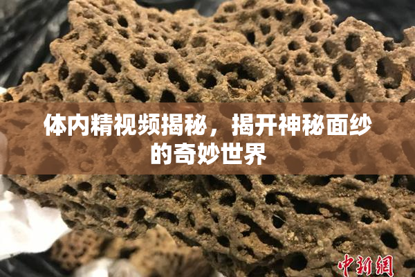 体内精视频揭秘，揭开神秘面纱的奇妙世界