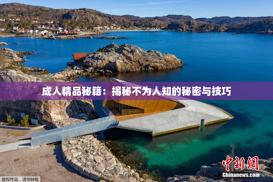 成人精品秘籍：揭秘不为人知的秘密与技巧