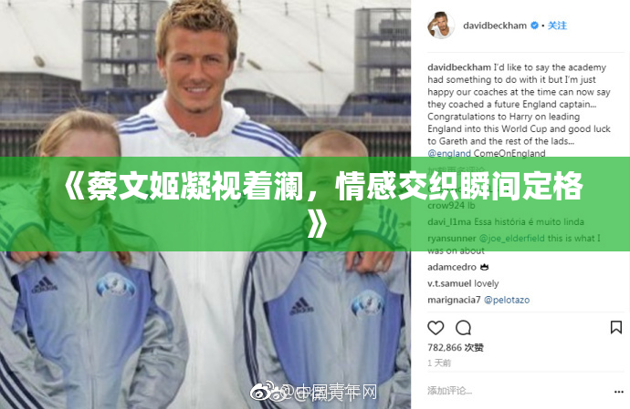 《蔡文姬凝视着澜，情感交织瞬间定格》