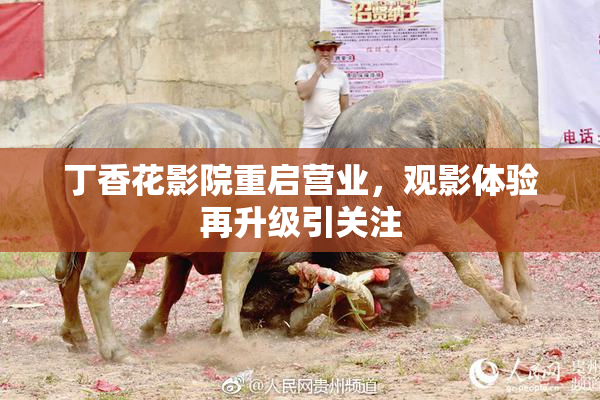 丁香花影院重启营业，观影体验再升级引关注