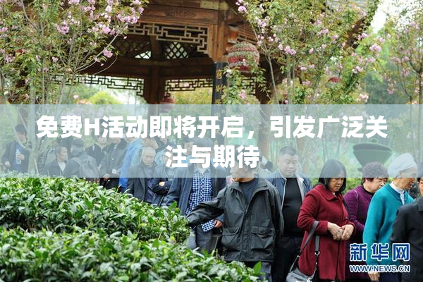 免费H活动即将开启，引发广泛关注与期待