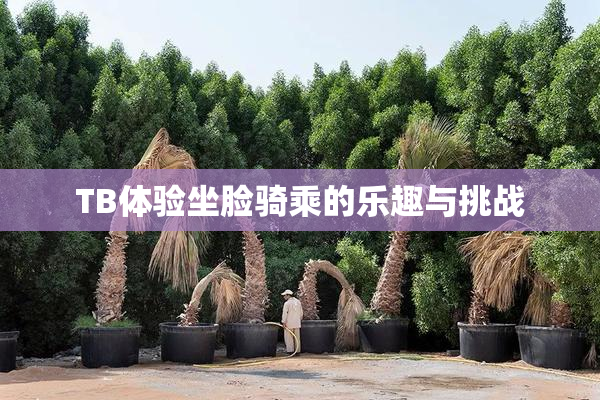 TB体验坐脸骑乘的乐趣与挑战