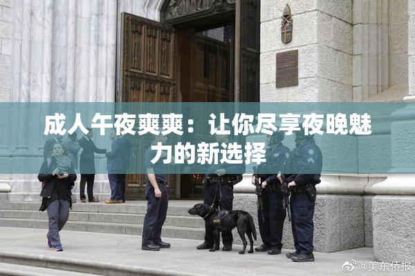 成人午夜爽爽：让你尽享夜晚魅力的新选择