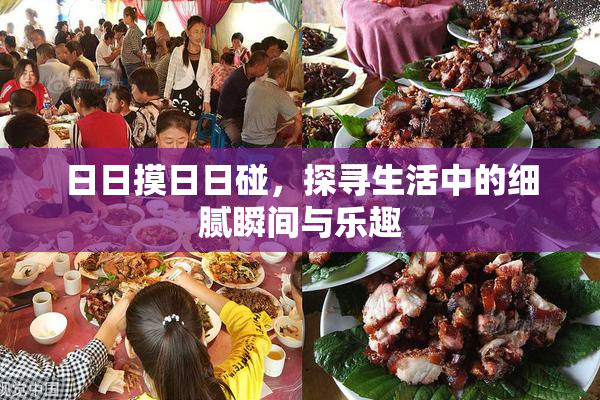 日日摸日日碰，探寻生活中的细腻瞬间与乐趣
