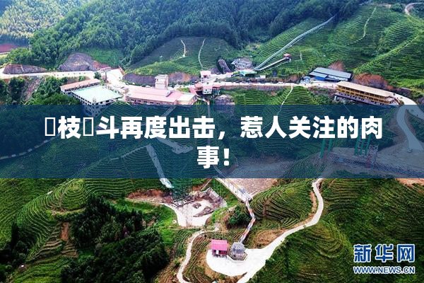 狛枝凪斗再度出击，惹人关注的肉事！