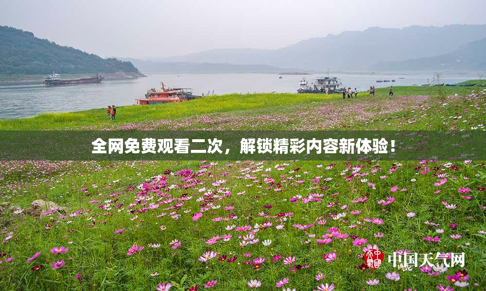 全网免费观看二次，解锁精彩内容新体验！