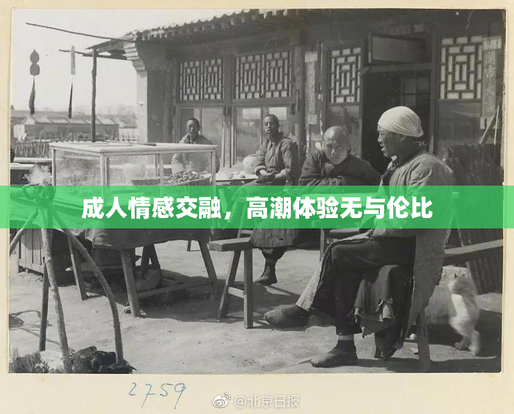 成人情感交融，高潮体验无与伦比