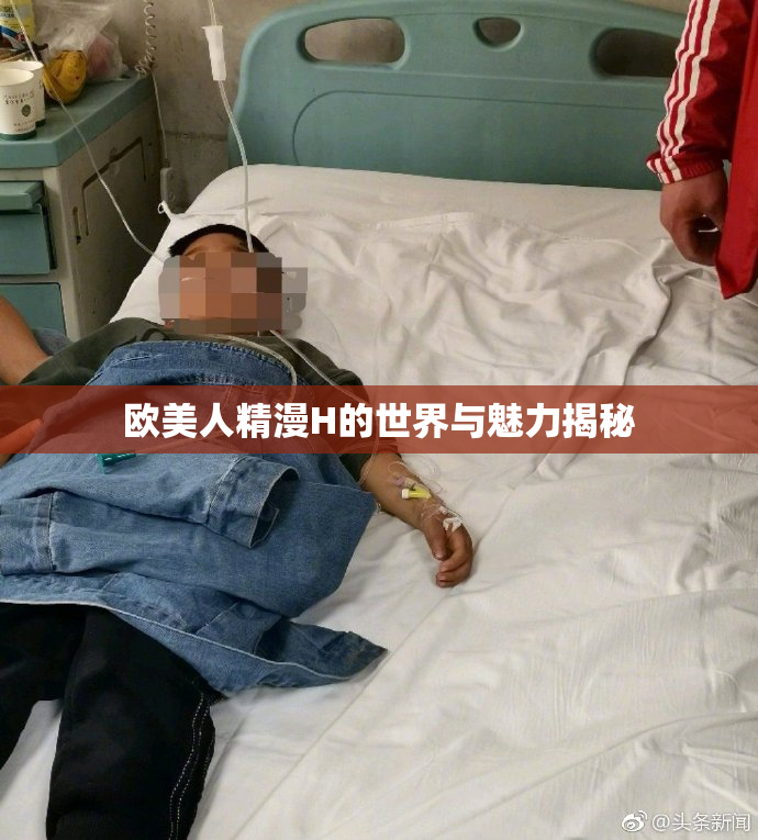 欧美人精漫H的世界与魅力揭秘