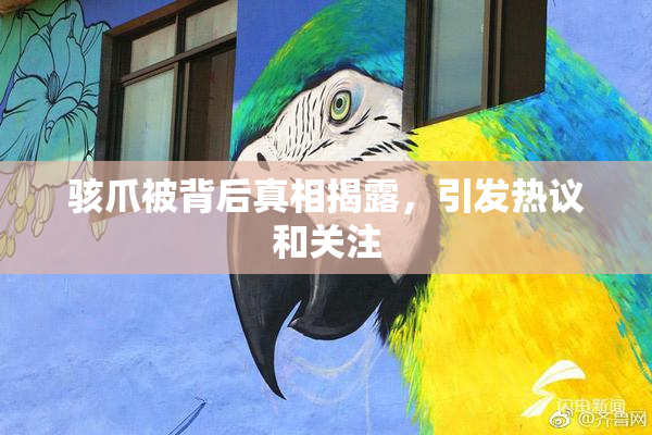 骇爪被背后真相揭露，引发热议和关注
