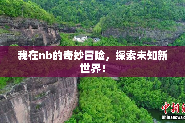 我在nb的奇妙冒险，探索未知新世界！