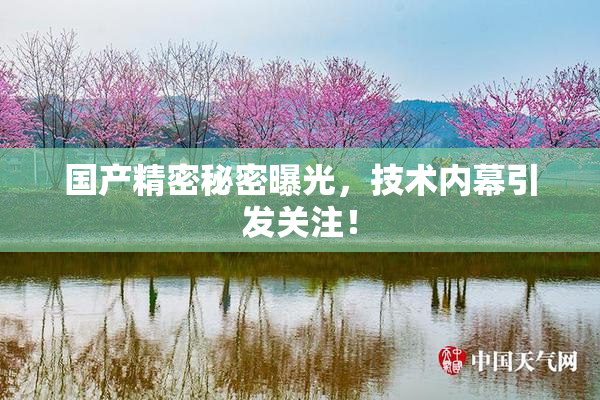 国产精密秘密曝光，技术内幕引发关注！