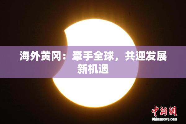 海外黄冈：牵手全球，共迎发展新机遇