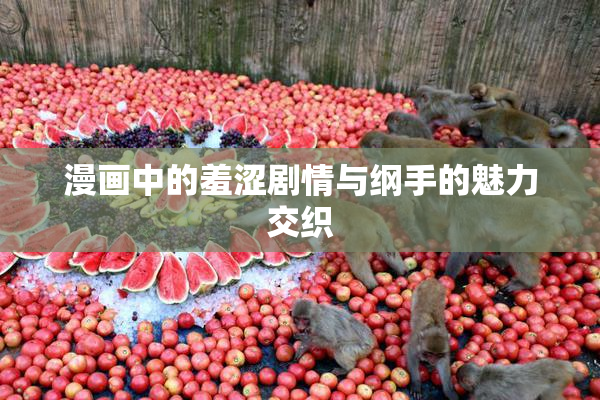 漫画中的羞涩剧情与纲手的魅力交织