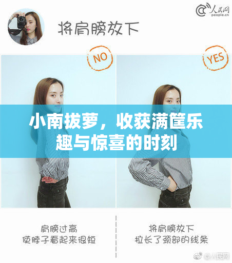 小南拔萝，收获满筐乐趣与惊喜的时刻