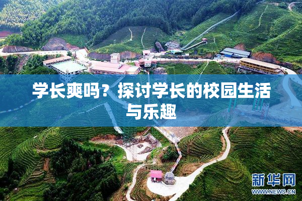 学长爽吗？探讨学长的校园生活与乐趣