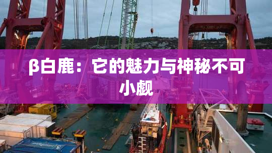 β白鹿：它的魅力与神秘不可小觑