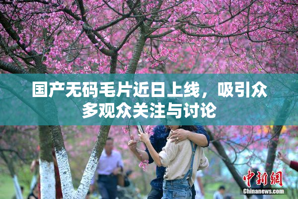 国产无码毛片近日上线，吸引众多观众关注与讨论