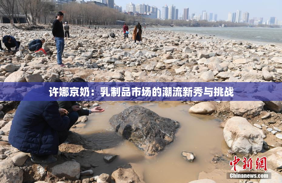 许娜京奶：乳制品市场的潮流新秀与挑战