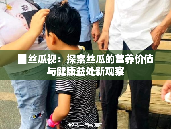▉丝瓜视：探索丝瓜的营养价值与健康益处新观察