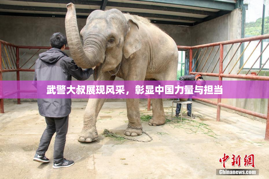 武警大叔展现风采，彰显中国力量与担当