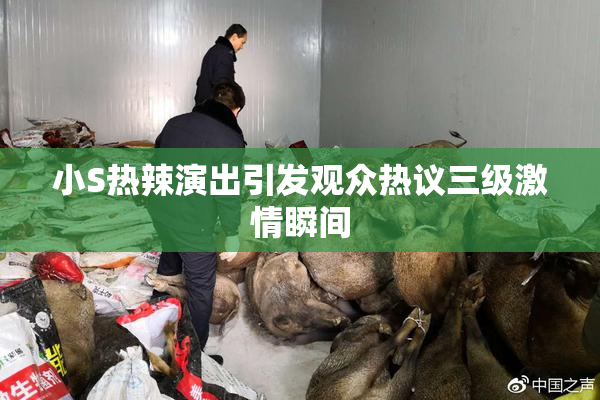 小S热辣演出引发观众热议三级激情瞬间