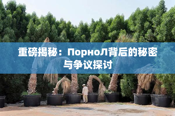 重磅揭秘：ПорноЛ背后的秘密与争议探讨