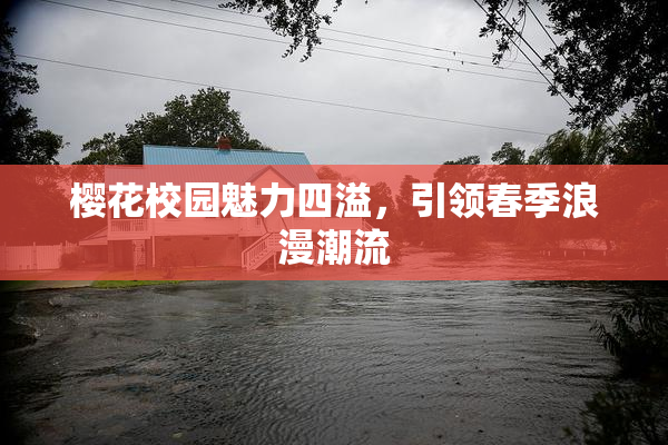 樱花校园魅力四溢，引领春季浪漫潮流