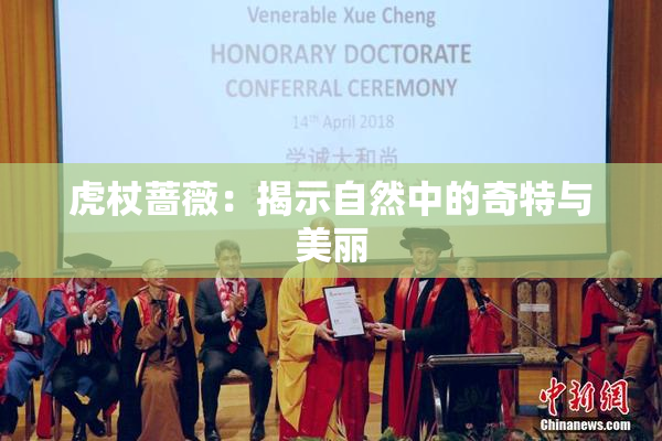 虎杖蔷薇：揭示自然中的奇特与美丽