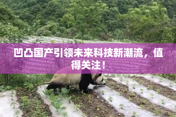 凹凸国产引领未来科技新潮流，值得关注！