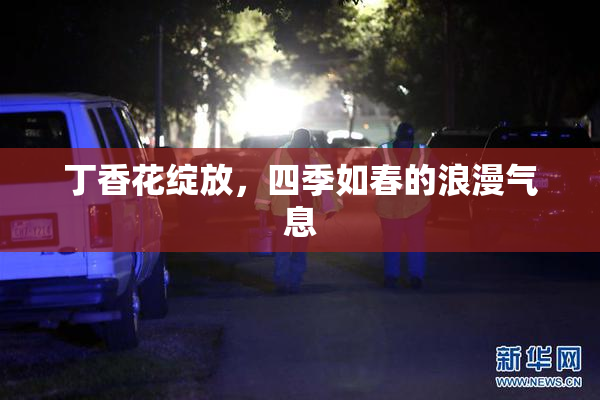 丁香花绽放，四季如春的浪漫气息