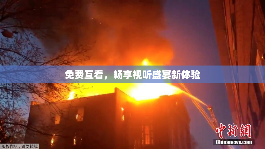免费互看，畅享视听盛宴新体验