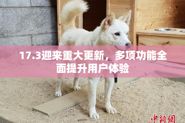 17.3迎来重大更新，多项功能全面提升用户体验