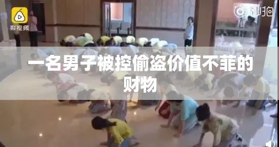 一名男子被控偷盗价值不菲的财物