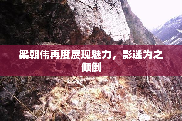 梁朝伟再度展现魅力，影迷为之倾倒