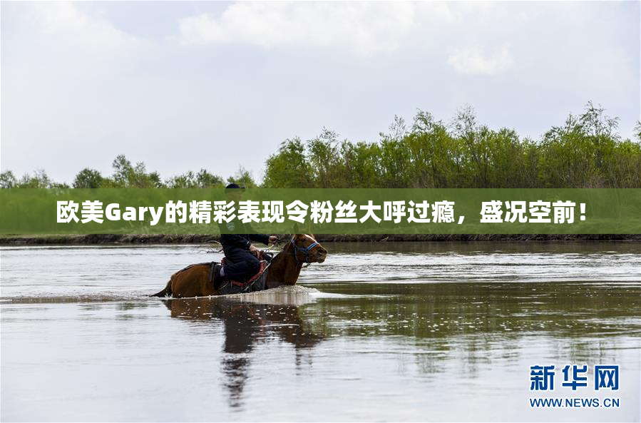 欧美Gary的精彩表现令粉丝大呼过瘾，盛况空前！