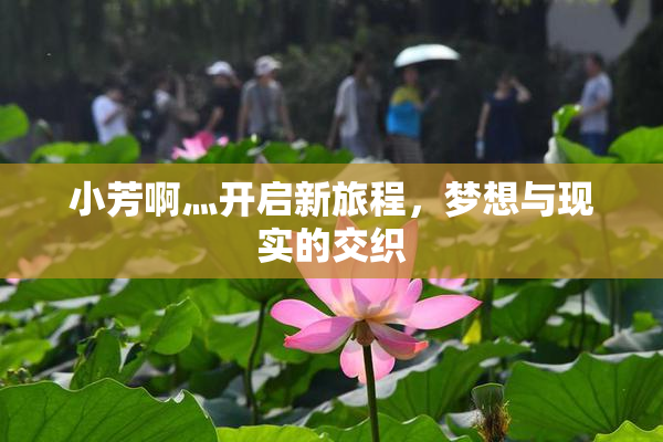 小芳啊灬开启新旅程，梦想与现实的交织