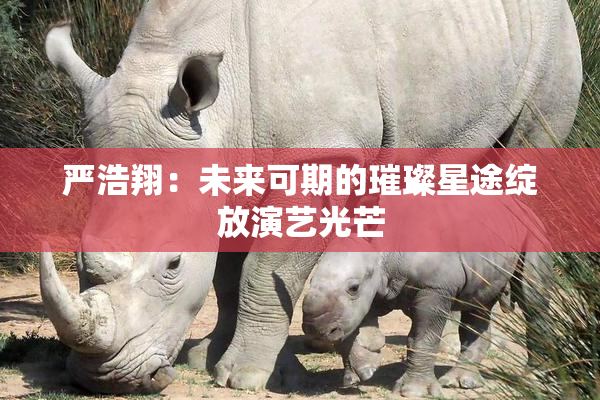 严浩翔：未来可期的璀璨星途绽放演艺光芒