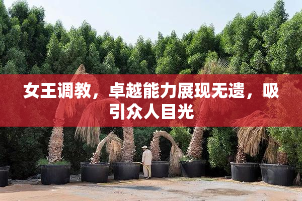 女王调教，卓越能力展现无遗，吸引众人目光