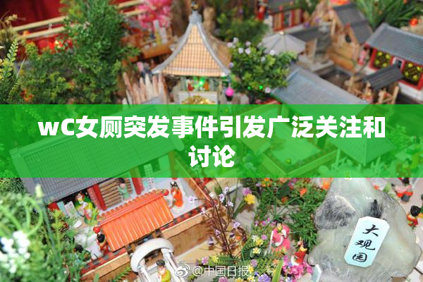 wC女厕突发事件引发广泛关注和讨论