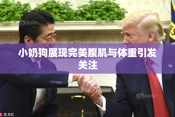 小奶狗展现完美腹肌与体重引发关注