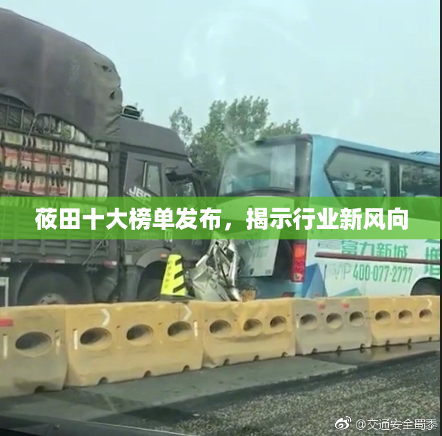莜田十大榜单发布，揭示行业新风向