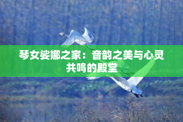 琴女娑娜之家：音韵之美与心灵共鸣的殿堂