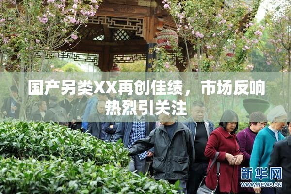 国产另类XX再创佳绩，市场反响热烈引关注
