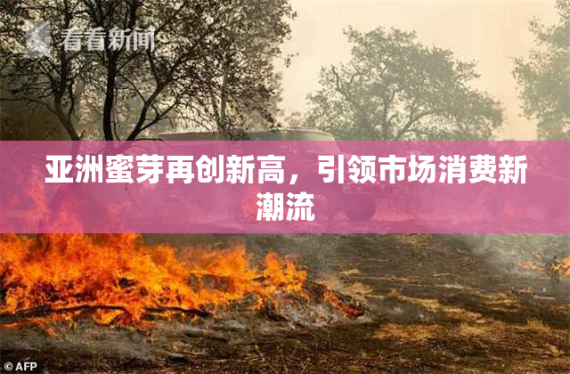 亚洲蜜芽再创新高，引领市场消费新潮流
