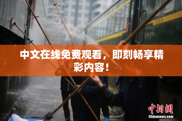 中文在线免费观看，即刻畅享精彩内容！