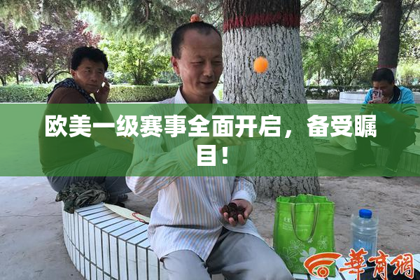 欧美一级赛事全面开启，备受瞩目！