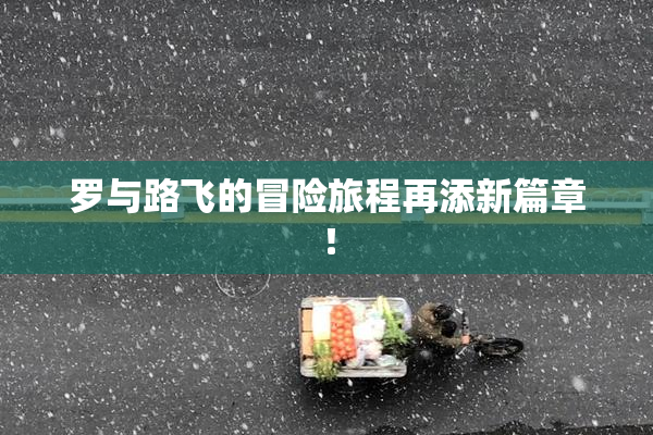 罗与路飞的冒险旅程再添新篇章！