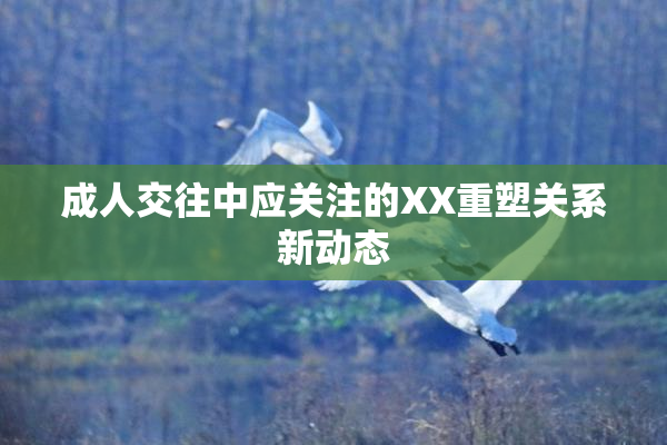 成人交往中应关注的XX重塑关系新动态