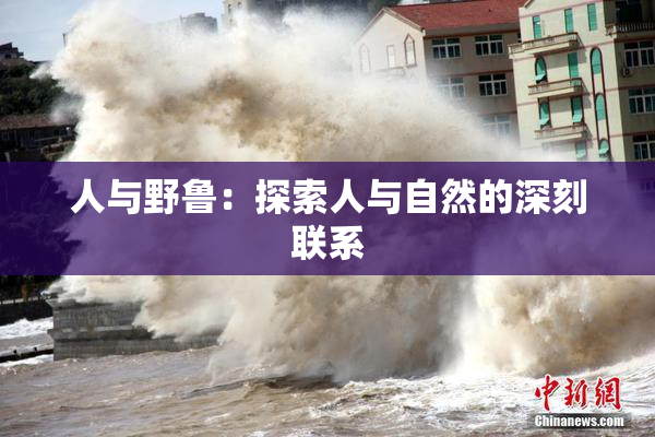 人与野鲁：探索人与自然的深刻联系